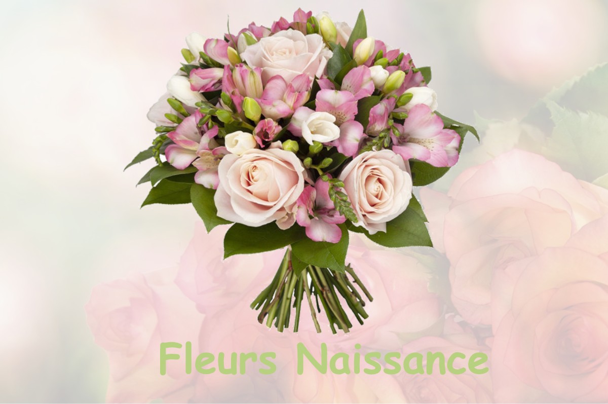 fleurs naissance RUAN